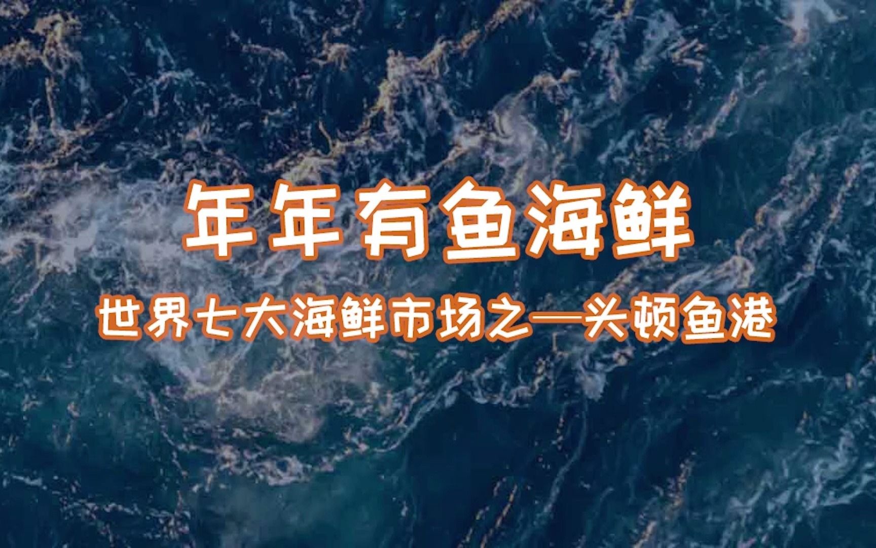 年年有鱼带你盘点一下全球最繁华的海鲜市场之一 ——头顿渔港哔哩哔哩bilibili