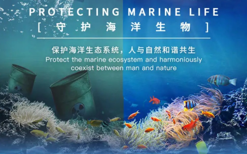科普宣传,保护海洋