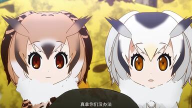 けものフレンズ 大集合！もふもふブースターパック 開封前編