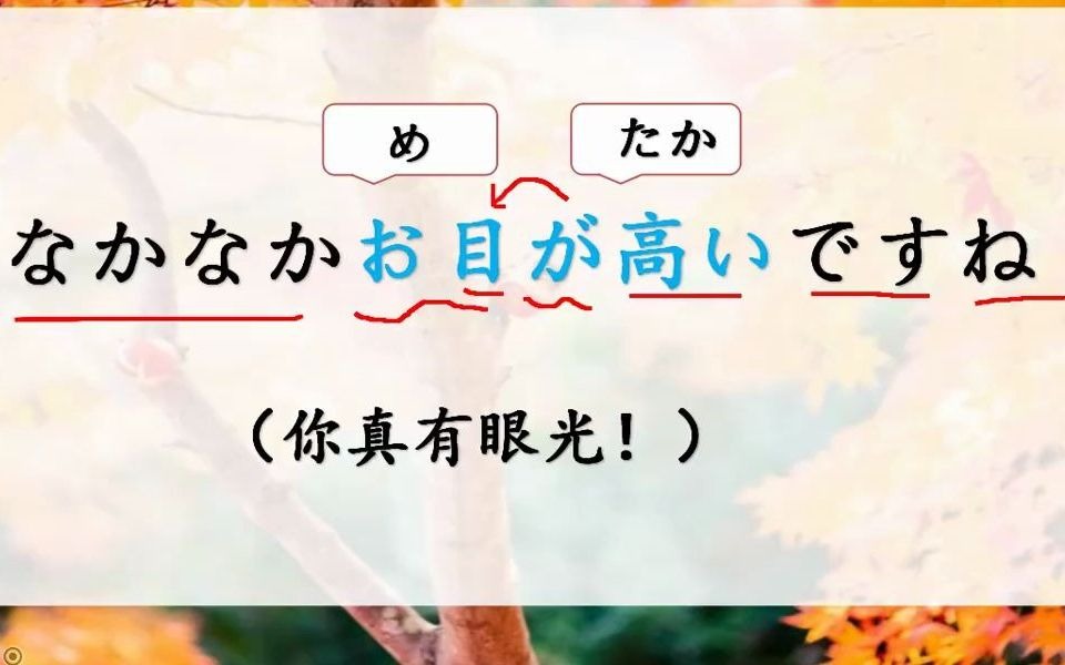 日语培训课程知识分享:用日语怎么说"你真有眼光"?