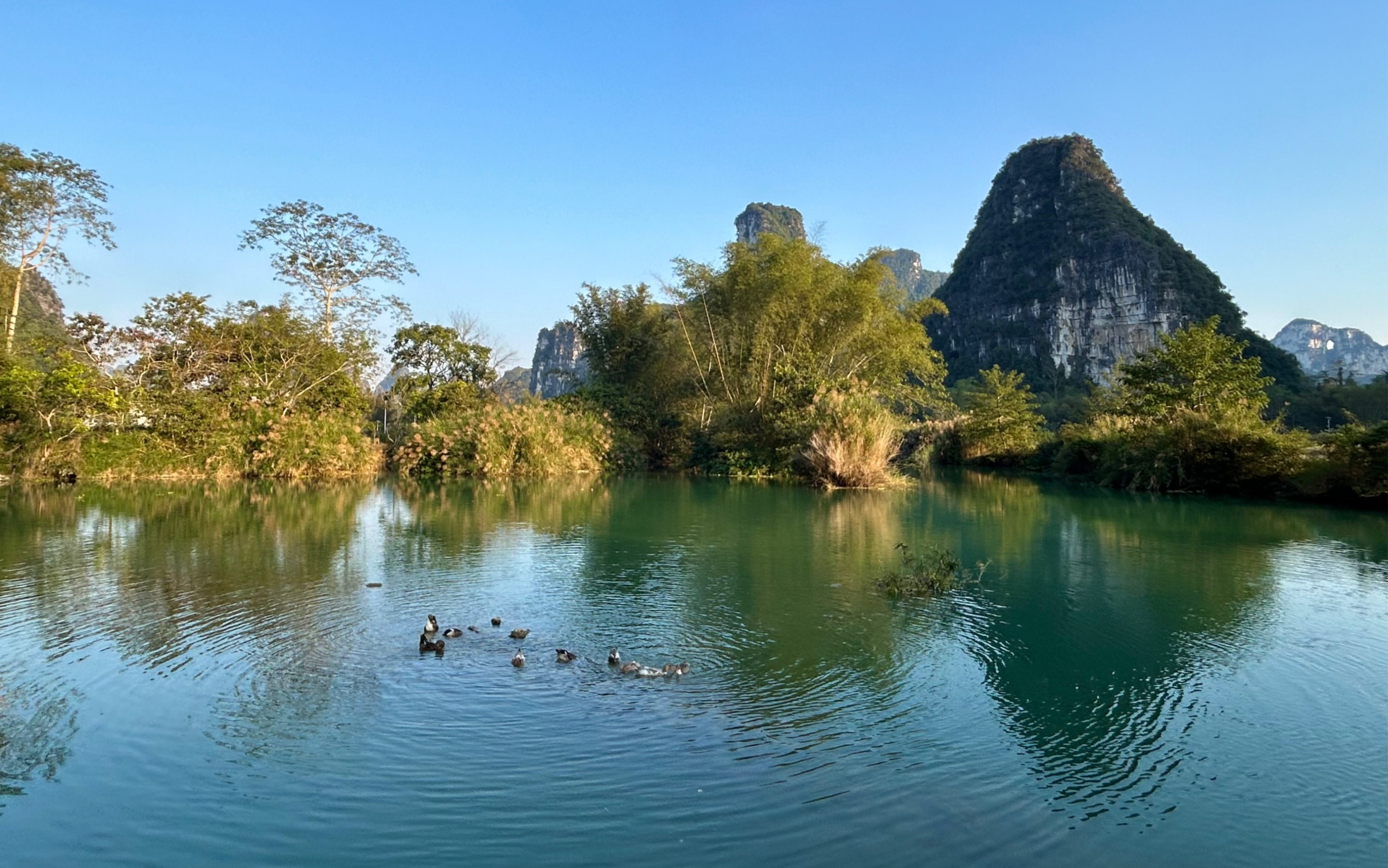 崇左明仕田园风景区图片