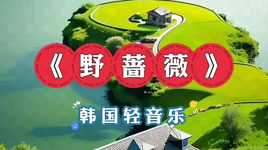 韩国音乐《野蔷薇》哔哩哔哩bilibili