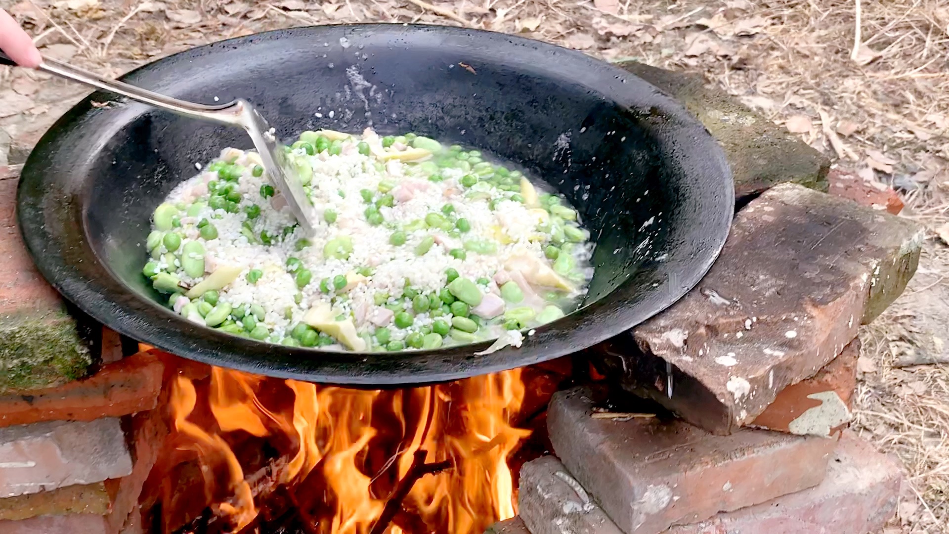 【立夏饭】茅盾请鲁迅吃过的野火饭,江南立夏时节必