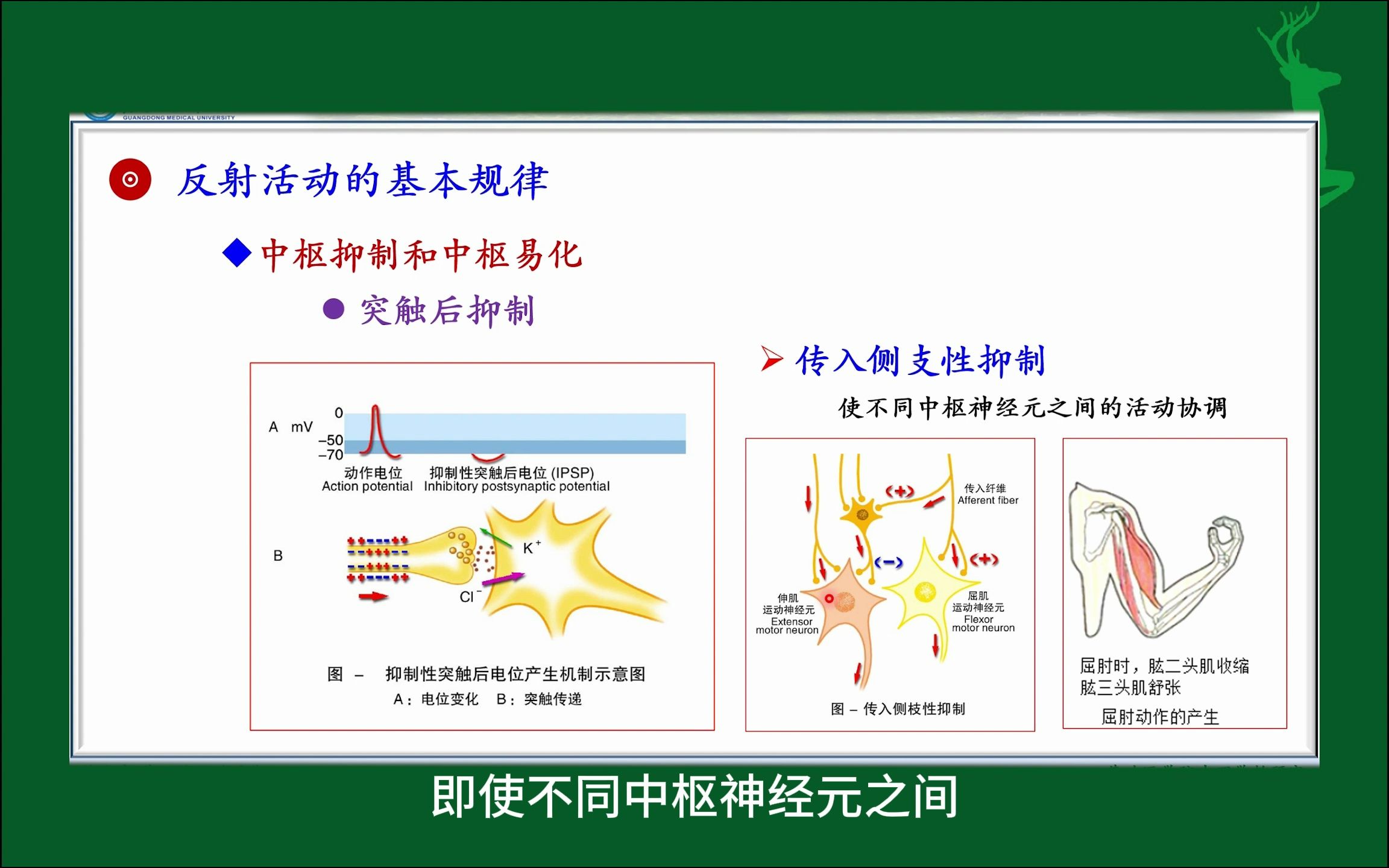 #中枢抑制和中枢易化#神经系统的功能#人体生理学#医学知识科普#每天学习一点点哔哩哔哩bilibili