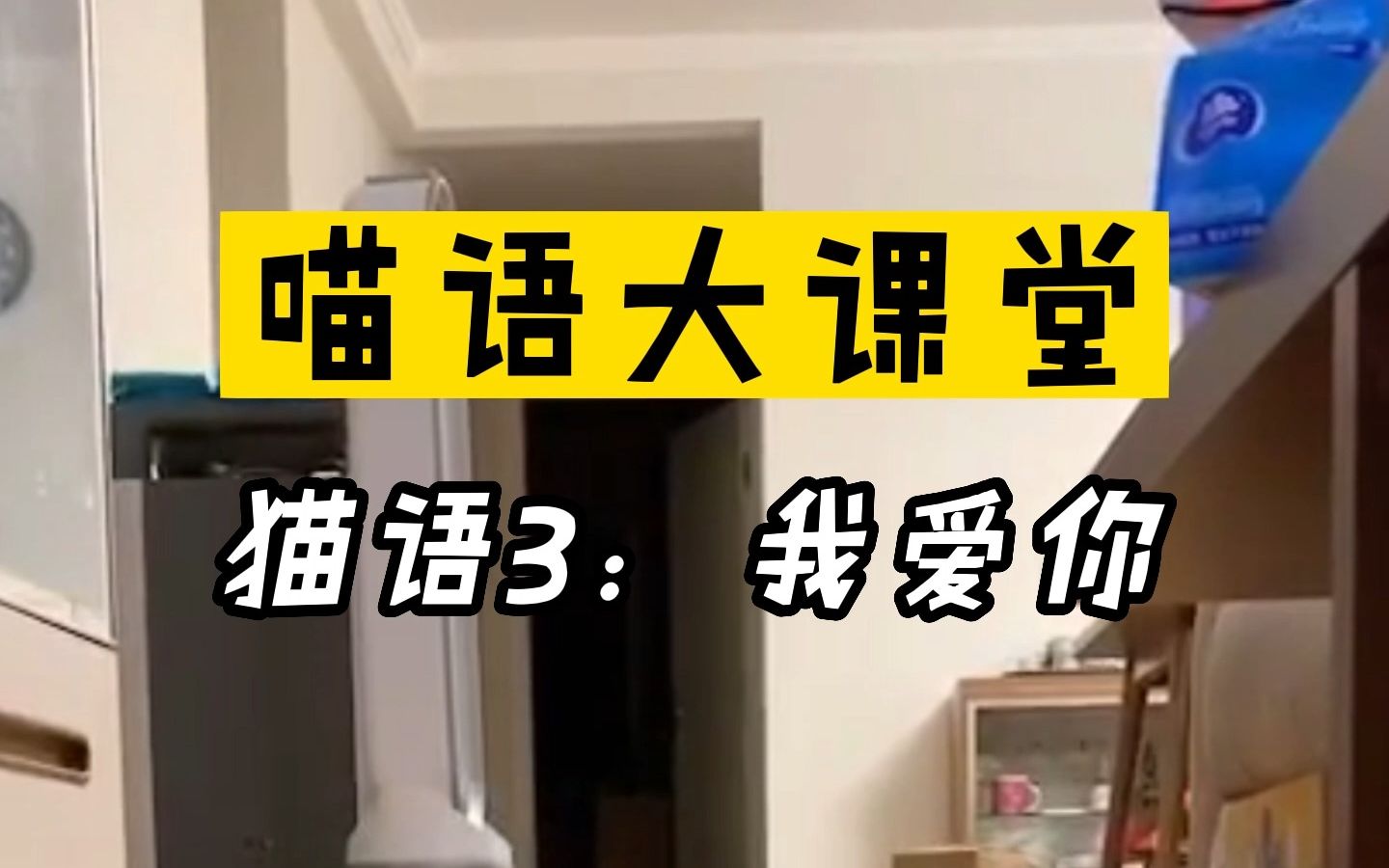 喵语大课堂:猫语3我爱你