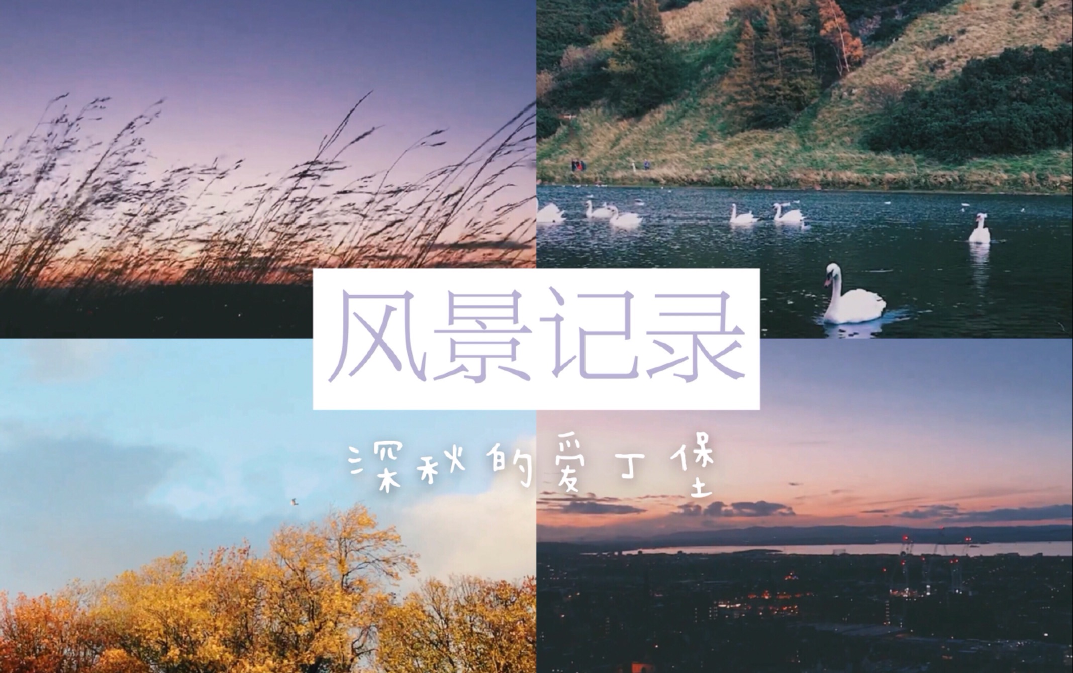 【大仔】风景储存|去年秋末的爱丁堡哔哩哔哩bilibili