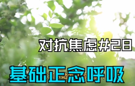 基础正念呼吸:对抗焦虑#28哔哩哔哩bilibili