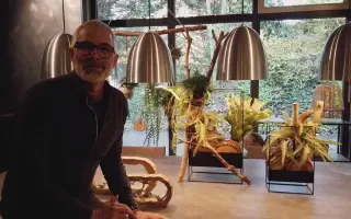 室内花艺 搜索结果 哔哩哔哩 Bilibili