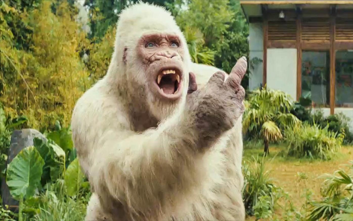 电影:白化病猩猩吸入生化气体,拥有多种动物基因,变成狂暴巨兽