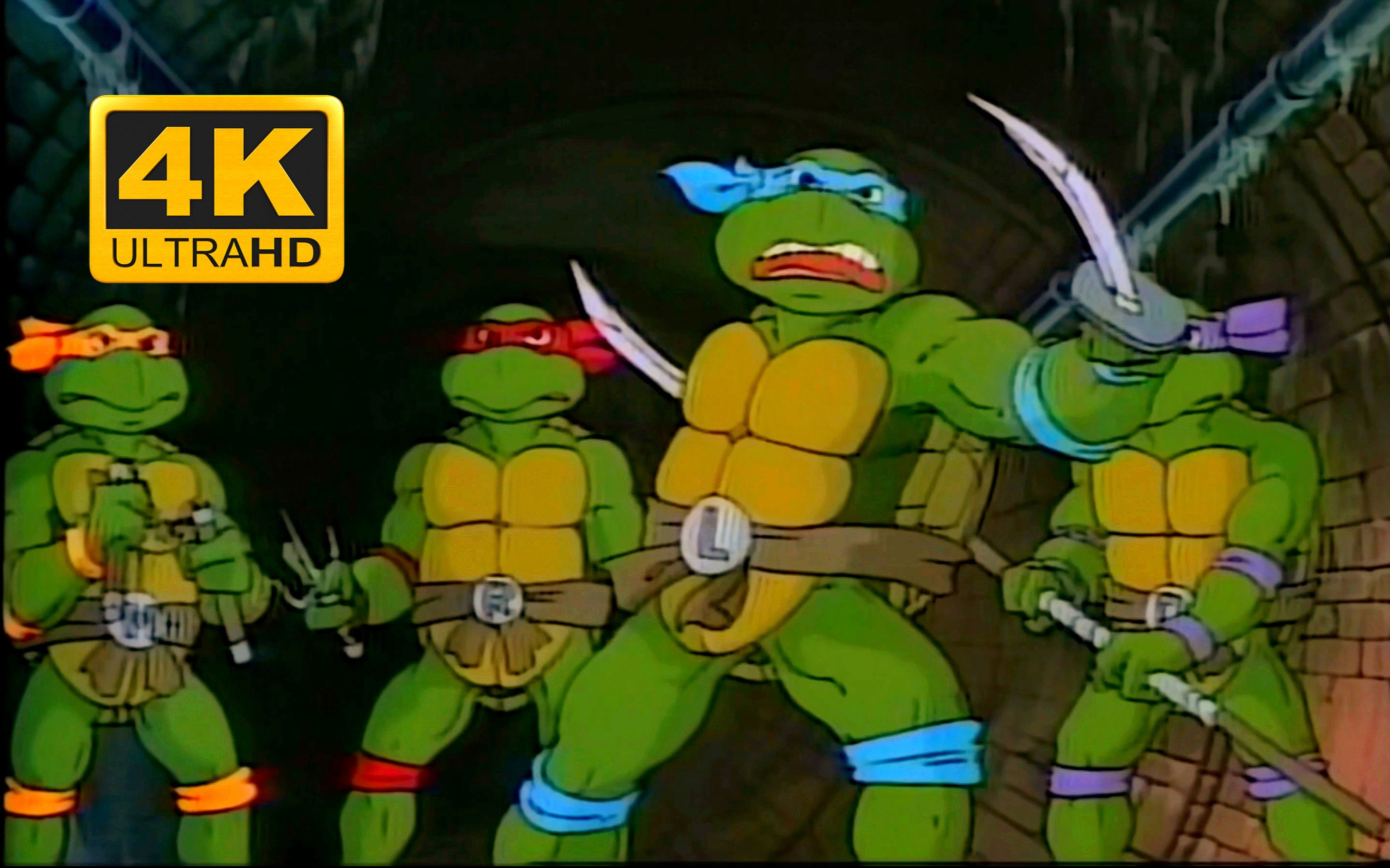 忍者神龟动画片1987版图片