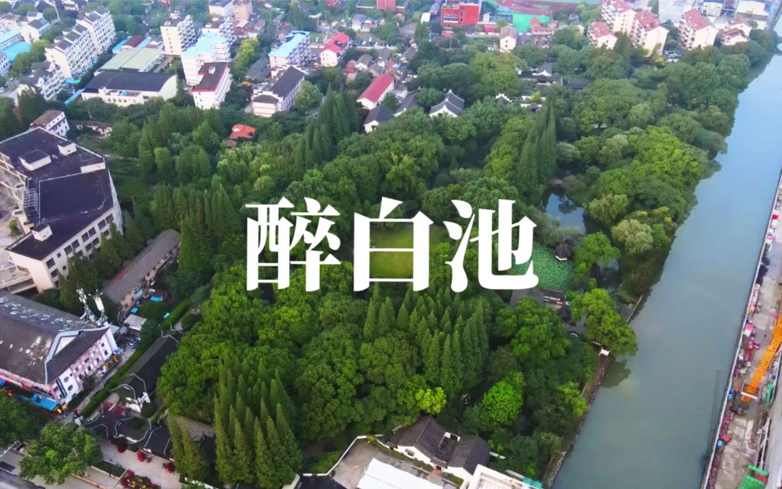 上海醉白池公园哔哩哔哩bilibili