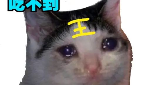 王老菊教你究极耐吃
