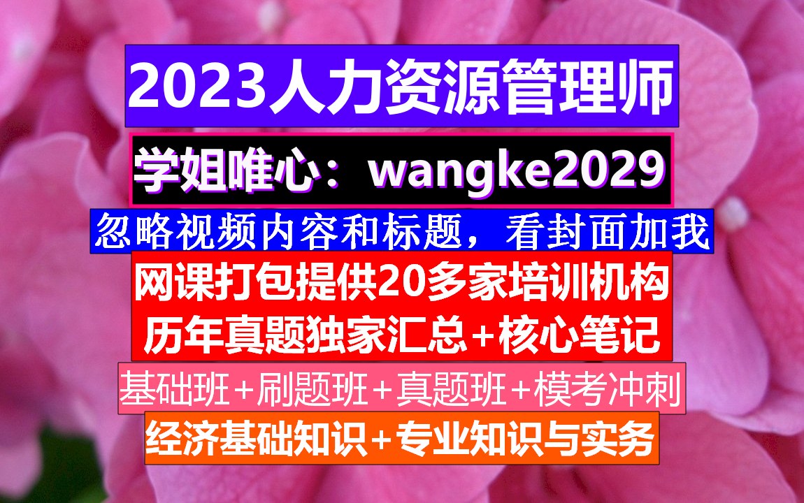 人力资源管理师.人力资源公司招聘简介,人力资源管理师证书哔哩哔哩bilibili