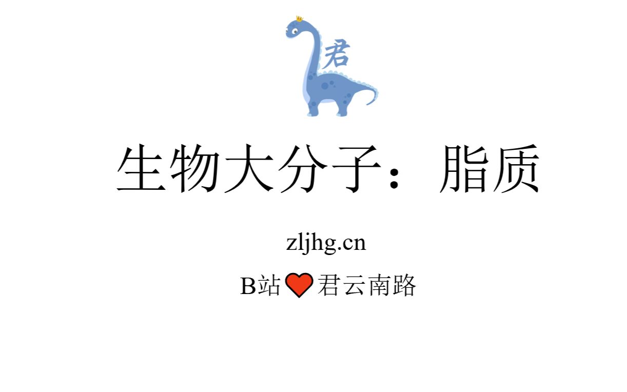 生物大分子:脂质哔哩哔哩bilibili