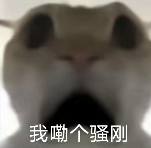 地铁鼠鼠全家桶表情包做视频专用