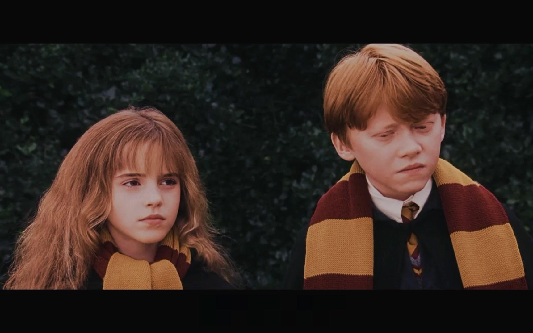 hp罗赫特辑wonderfulu