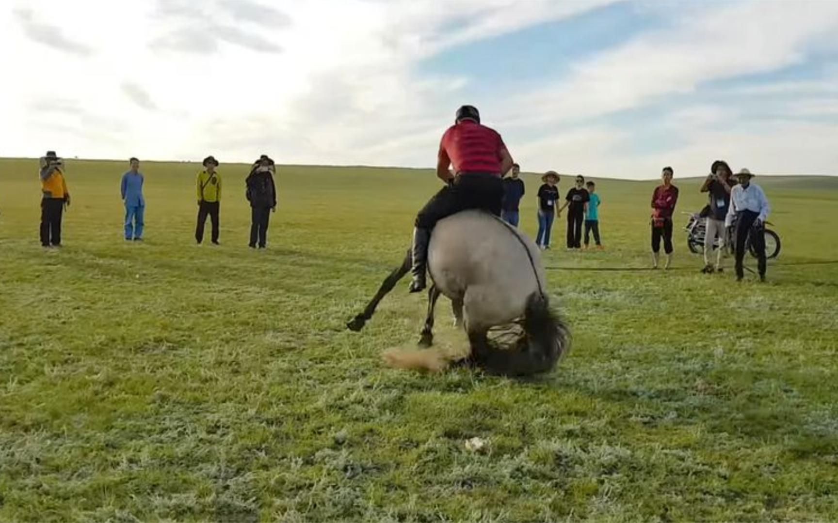 為了馴服一匹野馬,男人叫來好友幫忙,馬兒卻死活不從