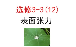 表面张力 搜索结果 哔哩哔哩 Bilibili