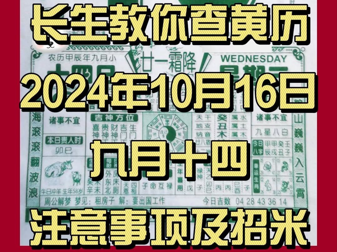 长生教你查黄历|老黄历解读注意事项|10月16日(九月十四)哔哩哔哩bilibili