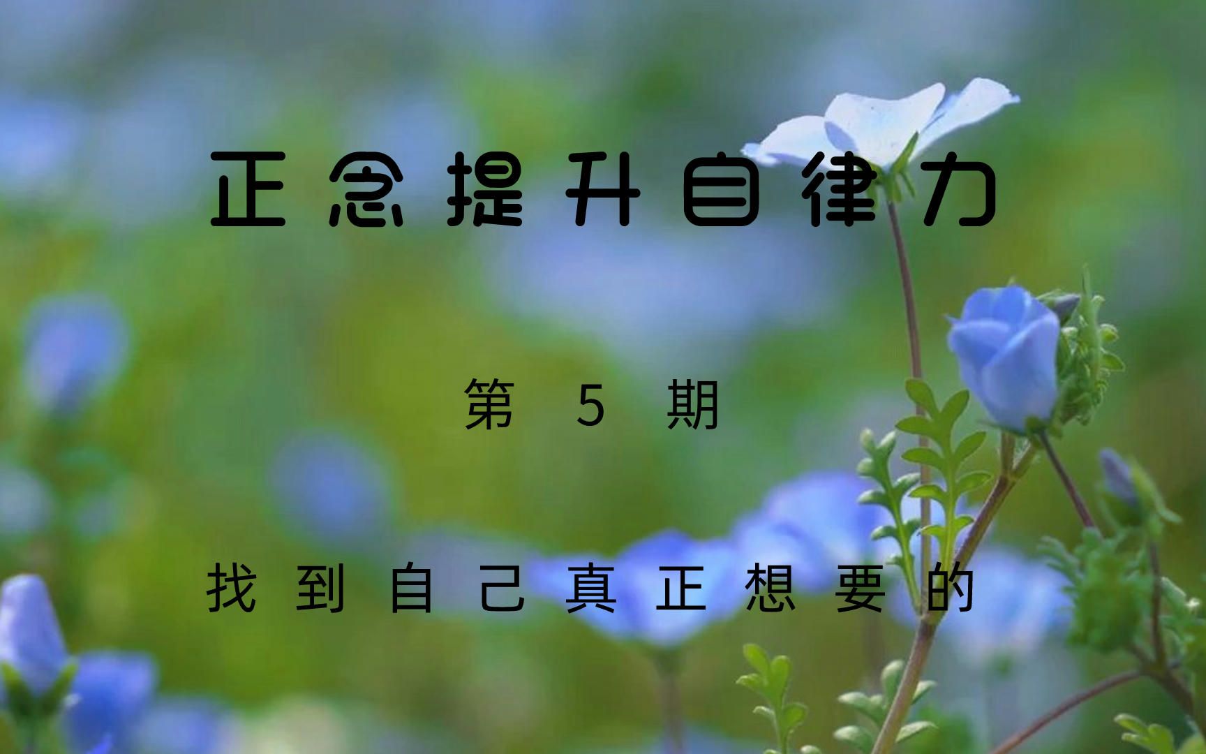 正念提升自律力--找到自己真正想要的