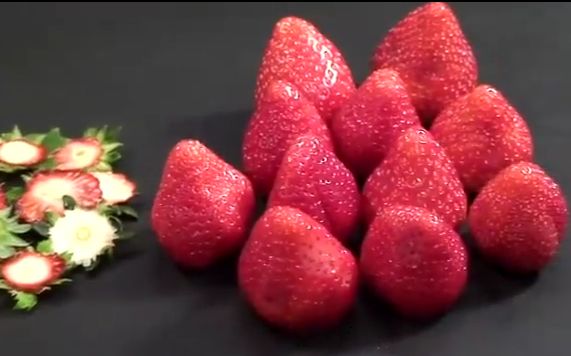 史上最变态的料理日本龙吟草莓料理工艺极其繁琐