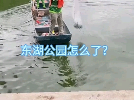 东湖公园怎么了?哔哩哔哩bilibili