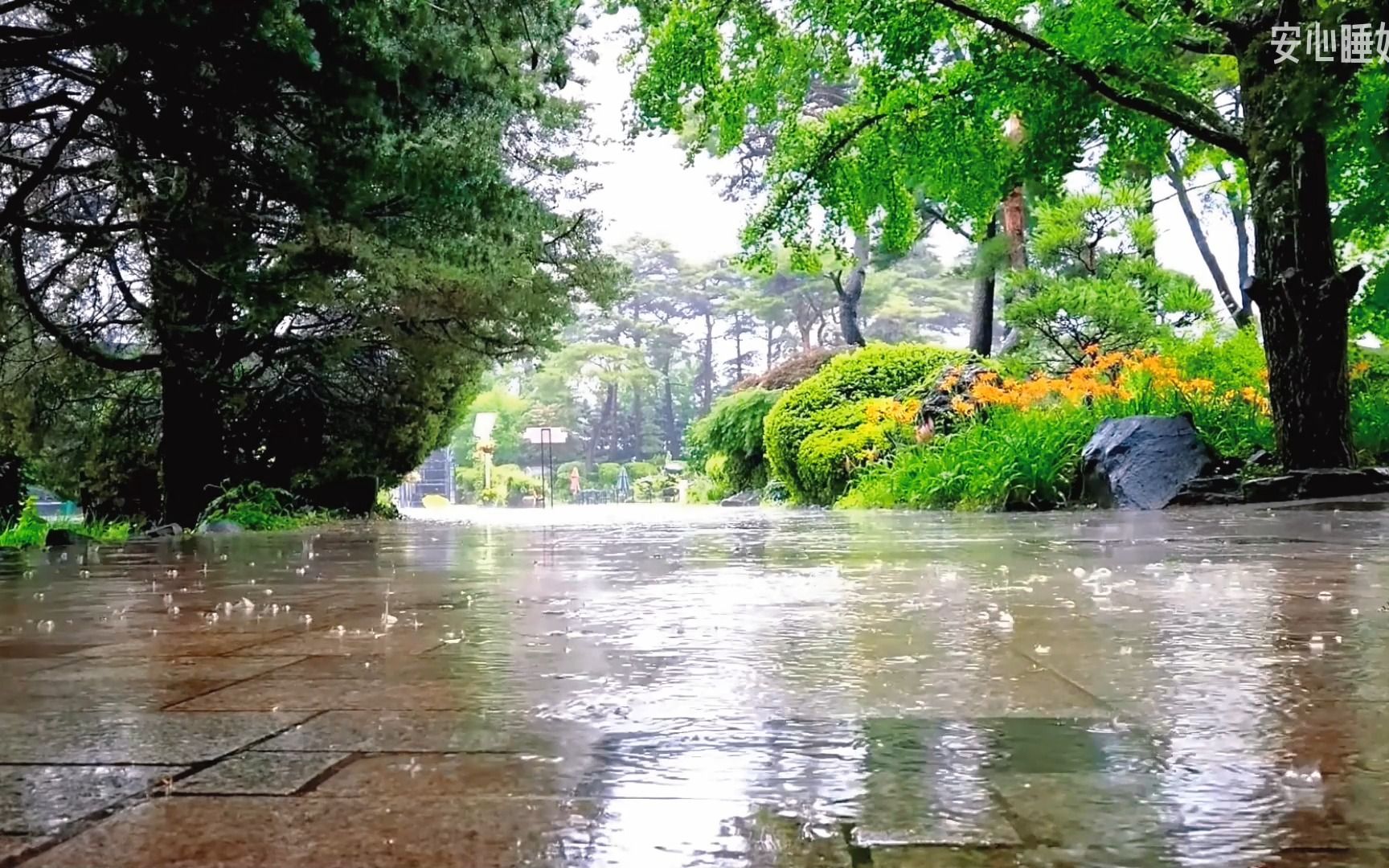 最適合睡覺的雷雨聲 · 深度睡眠,助眠雨聲,60分鐘雷雨聲催眠!