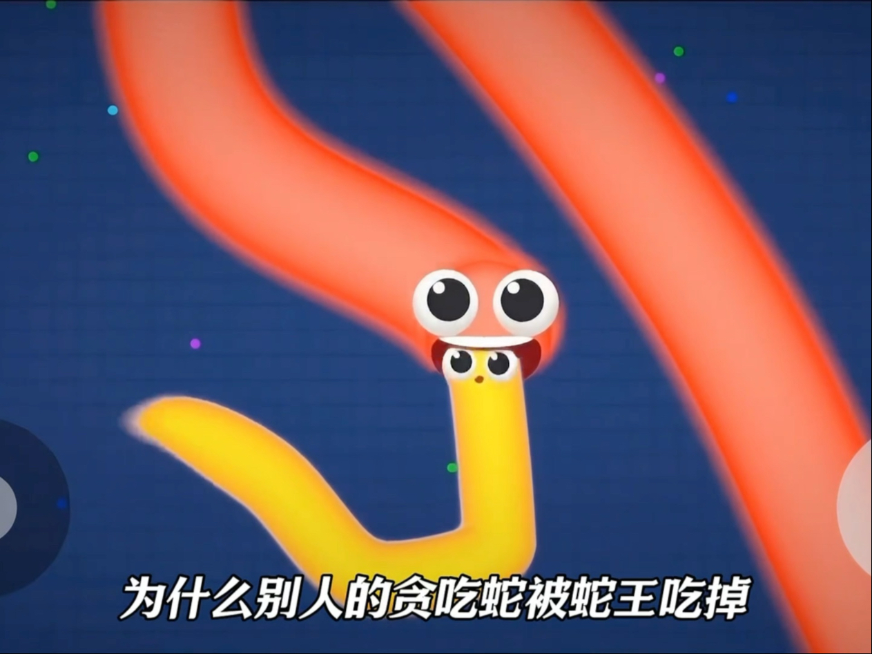 哥哥贪吃蛇太牛了