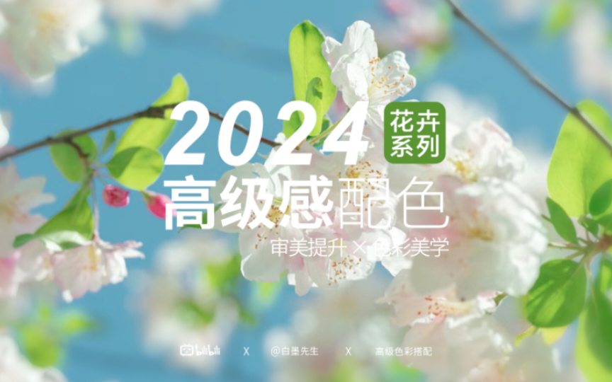 审美提升|2024春季花的高级配色探索|摄影调色 打造高级感哔哩哔哩bilibili