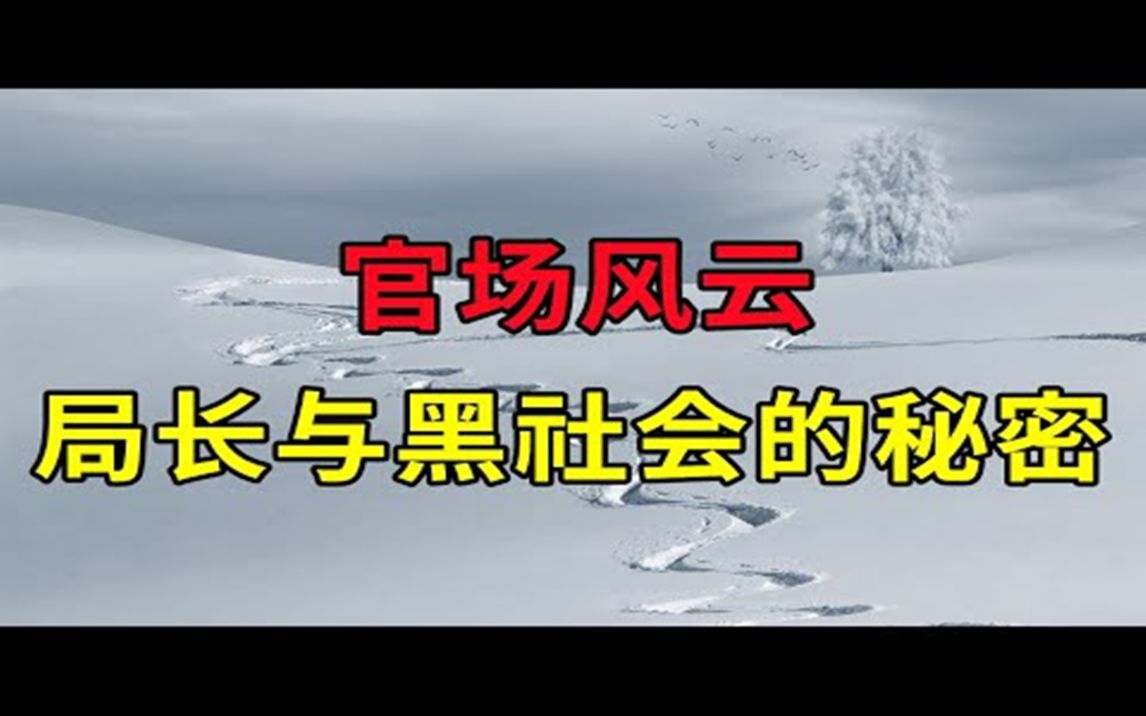 官场风云,政法委书记与黑社会的秘密,权钱交易的腐败官员  大案要案纪实录  绝密档案哔哩哔哩bilibili