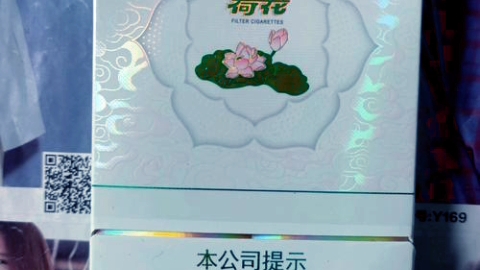 荷花烟双中支哔哩哔哩bilibili