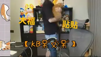 Video herunterladen: 【KB呆又呆】和大福贴贴 看到小猫咪就会夹起来