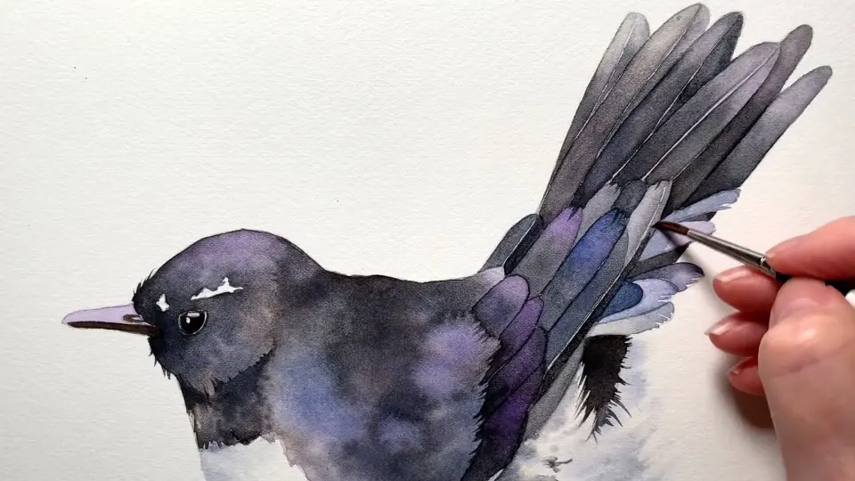 【水彩画】水彩动物画一只漂亮的小鸟_哔哩哔哩_bilibili