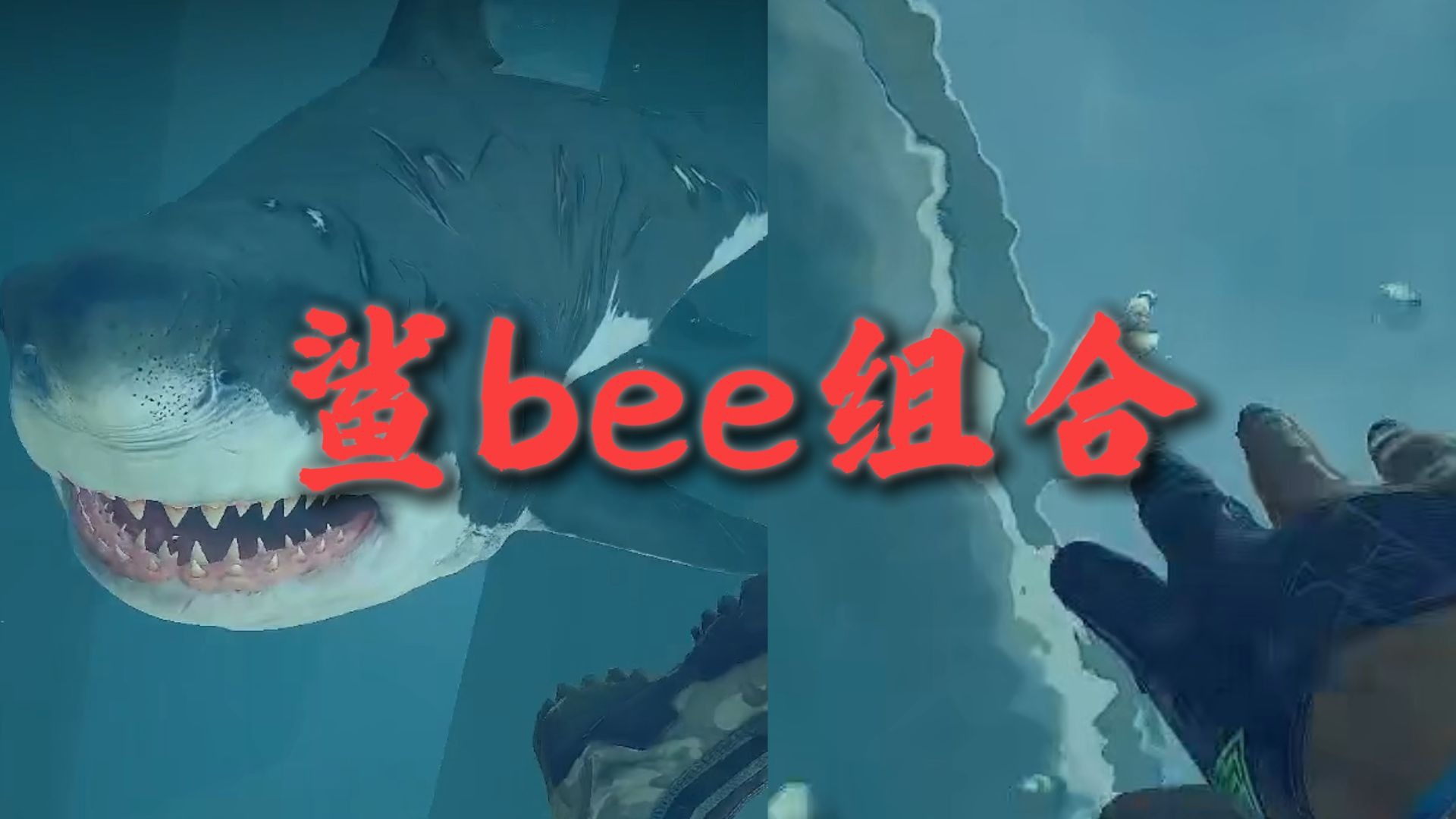【昊天单三露娜】主播教你怎么打这个鲨bee组合-昊天_三角洲行动-昊天_三角洲行动-哔哩哔哩视频