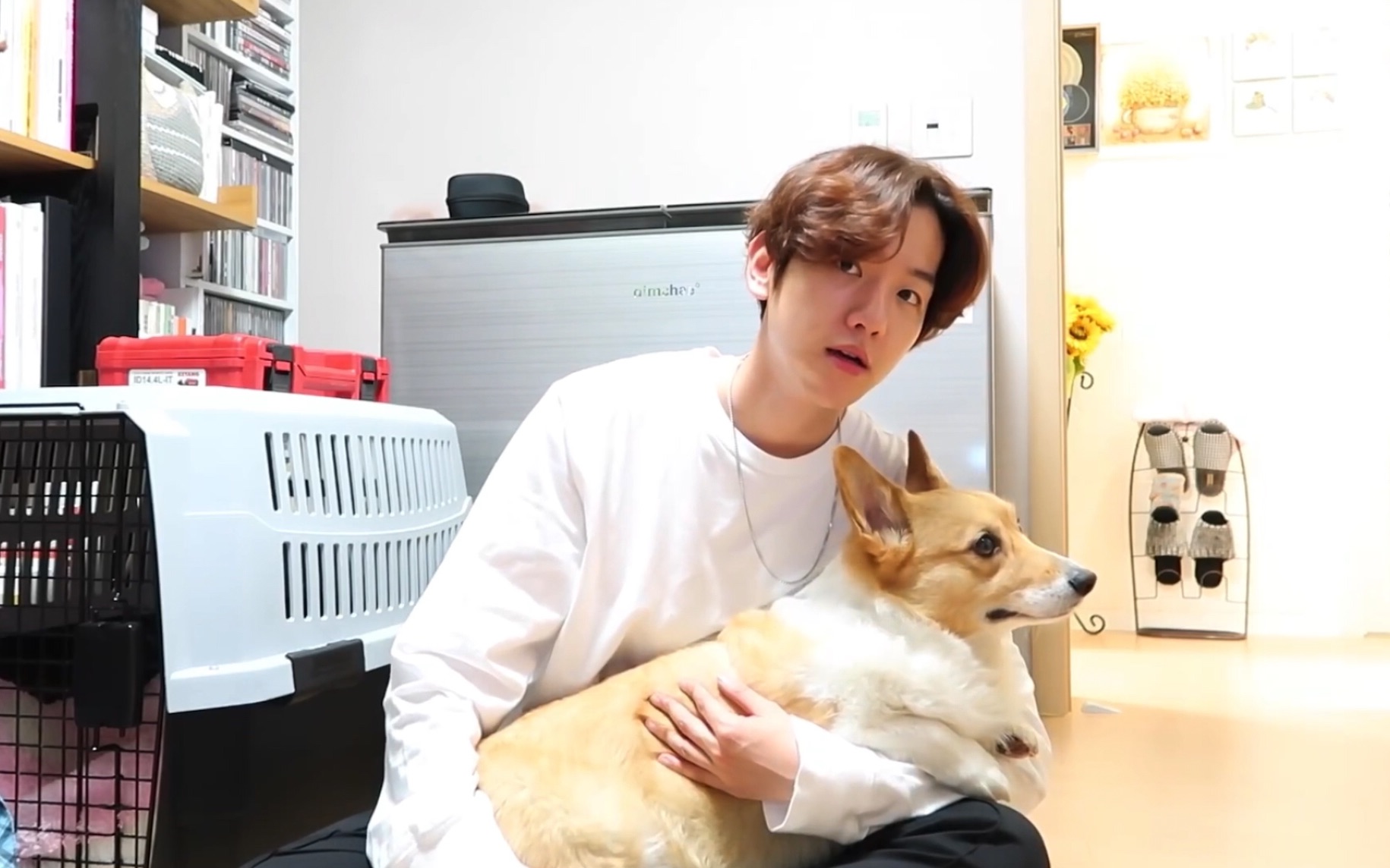 kyoongtubebaekhyun伯贤儿的vlog梦龙儿贤tube柯基tube像主人