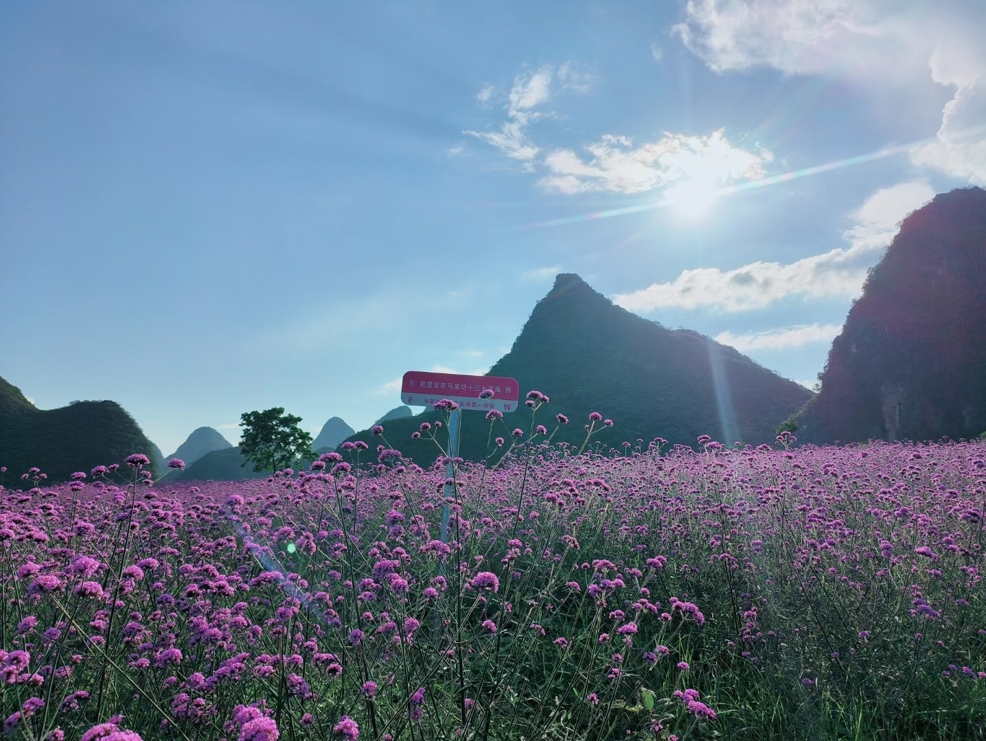 [图]一步一个脚印一步一个风景