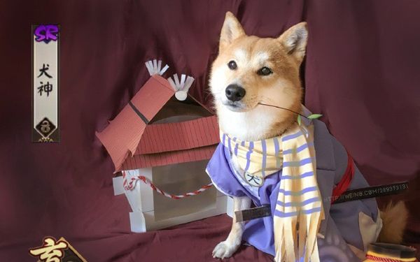 阴阳师斗技犬神你敢不带控试试