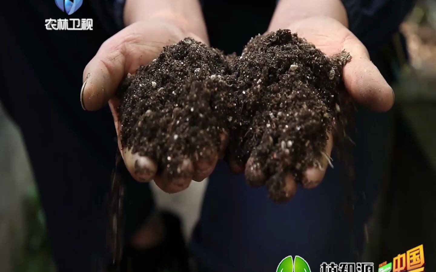 植知源豆磷脂肥:探秘!大豆磷脂变肥料原来这么“难”!哔哩哔哩bilibili