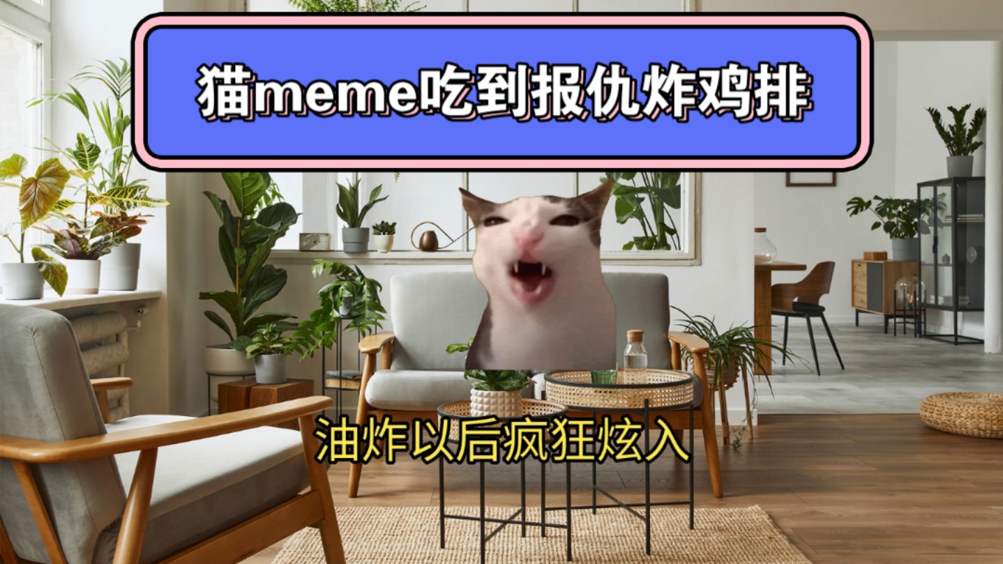 【Ai 一键生成视频】因为贪便宜买廉价冻鸡排吃到胃疼进医院的猫meme哔哩哔哩bilibili