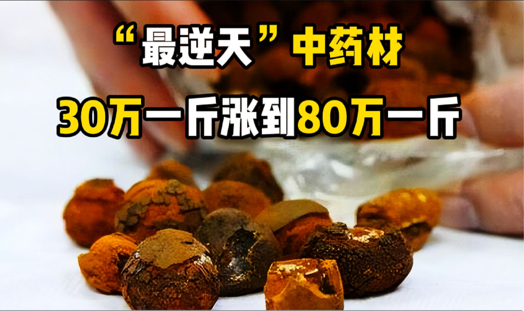 今年"最逆天"的中药材,从30万一斤涨到80万一斤,还继续涨吗?