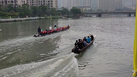 [图]龙舟竞渡，赛前集训。有节奏，有口令。一起发力才最快。