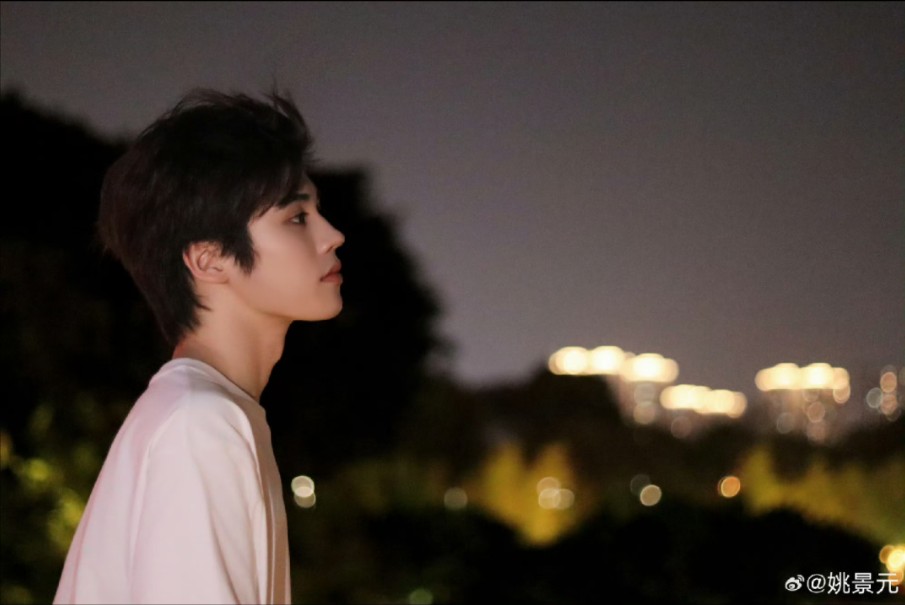 四个人看烟花憧憬着未来,只有姚景元一个人悄悄的告了别
