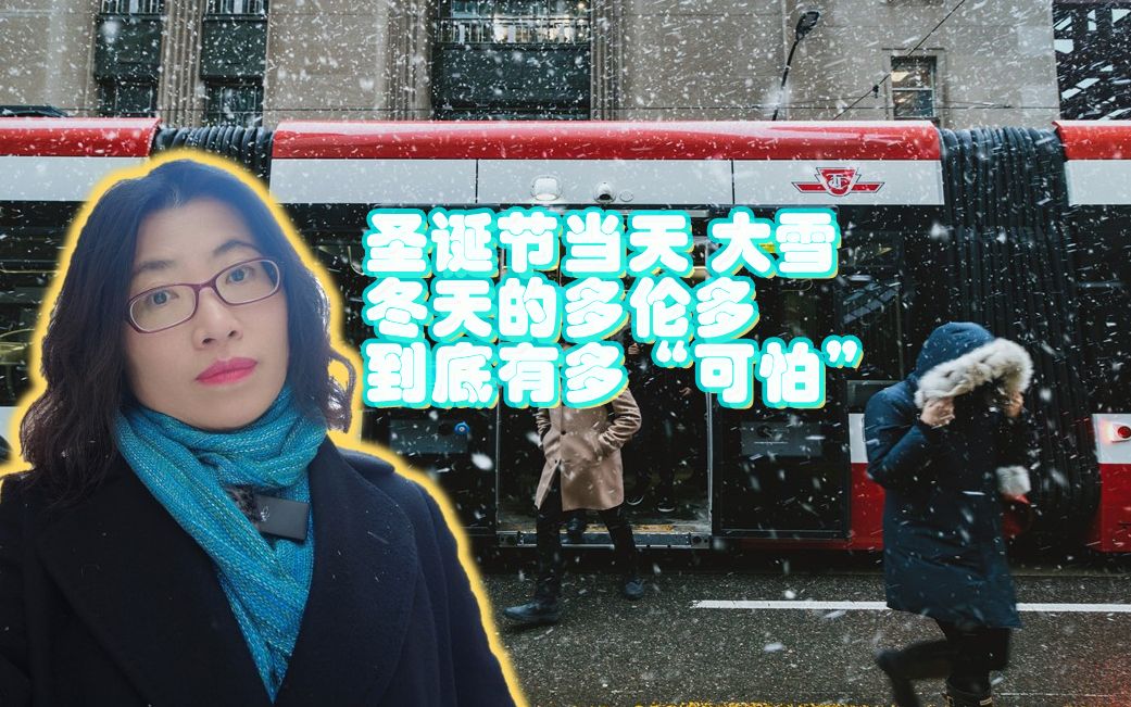 圣诞节当天大雪 | 冬天的多伦多到底有多“可怕”哔哩哔哩bilibili