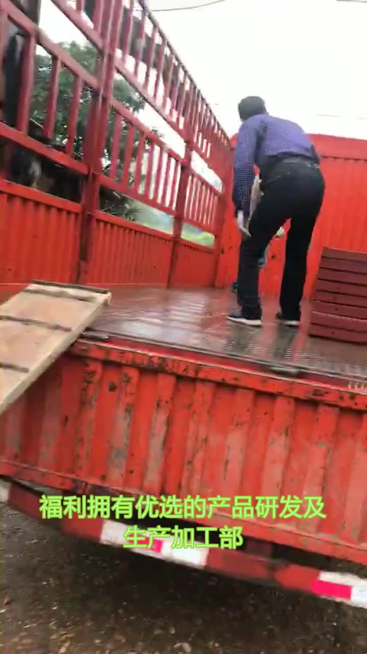 黄冈福利拖网养鱼网箱价格稳定可靠 #东莞尼龙拉网养鱼网箱 #宁夏水产