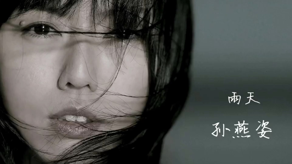 孙燕姿雨天歌词 B站