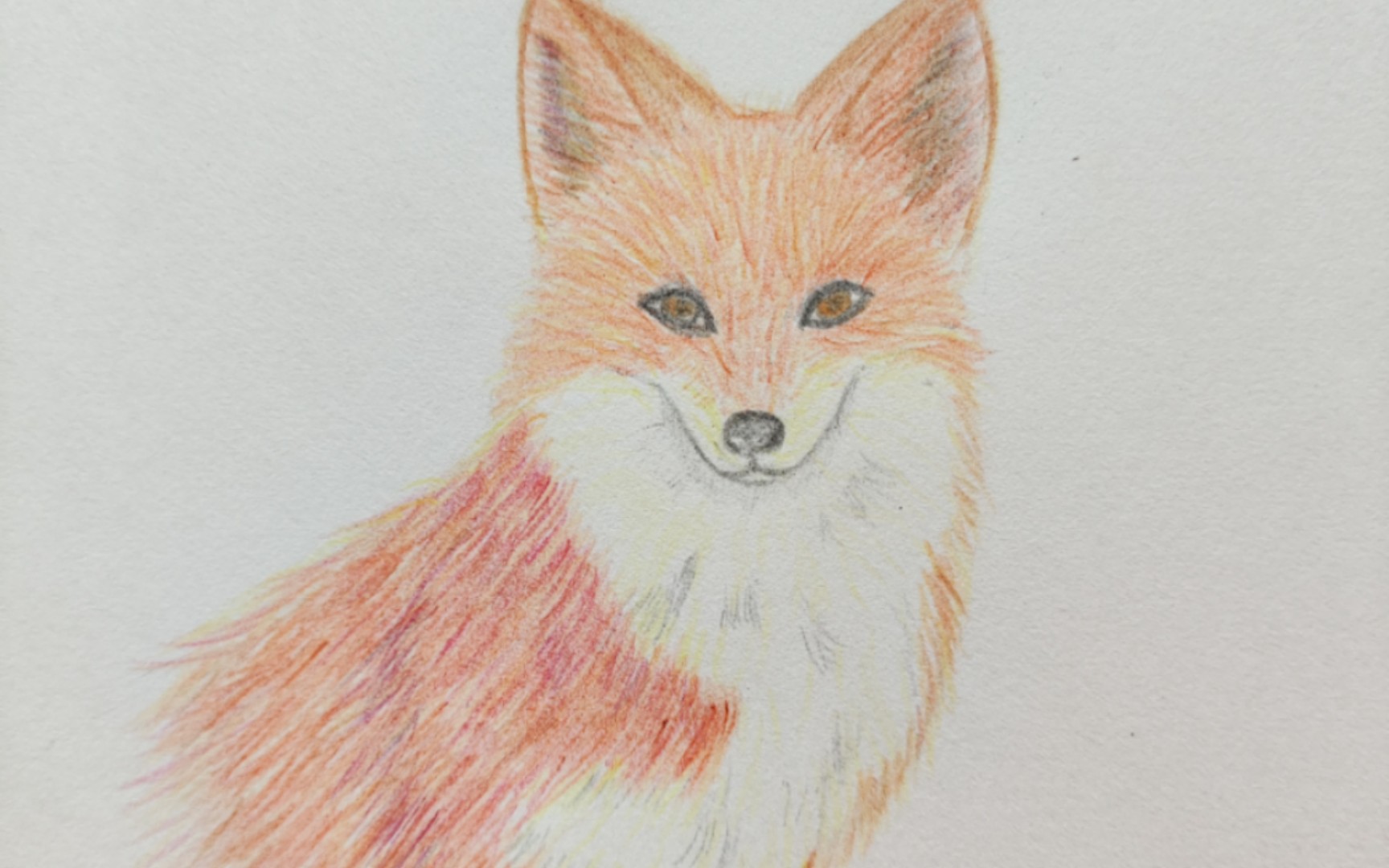 【彩铅】狐狸