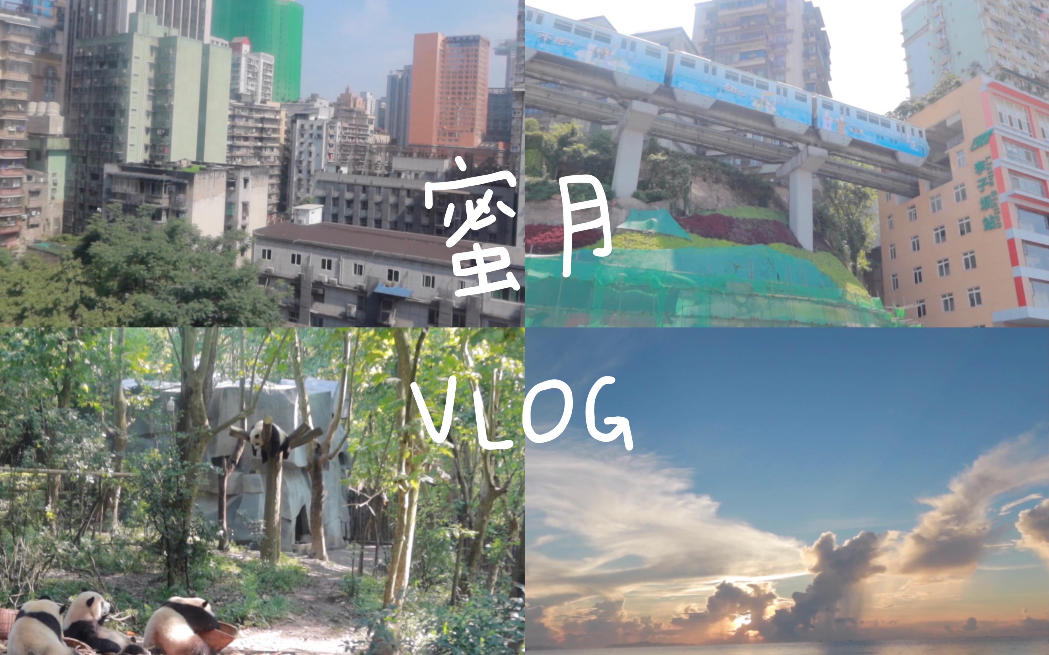 蜜月 VLOG|重庆 成都 三亚哔哩哔哩bilibili