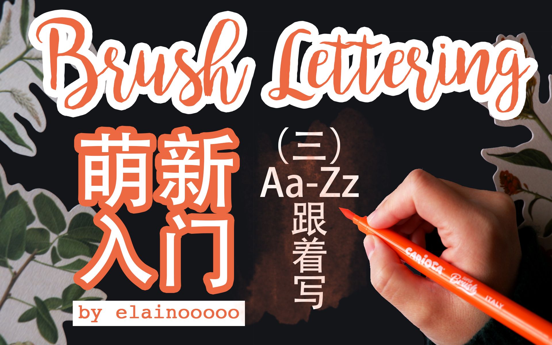 【晨光小课堂】Brush Lettering萌新入门 | 26个字母练习哔哩哔哩bilibili