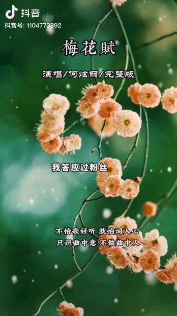 《梅花赋》~哔哩哔哩bilibili