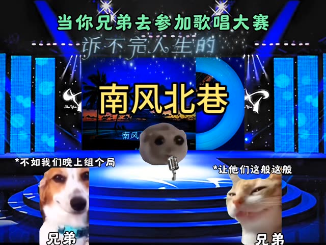 南风北巷.哔哩哔哩bilibili